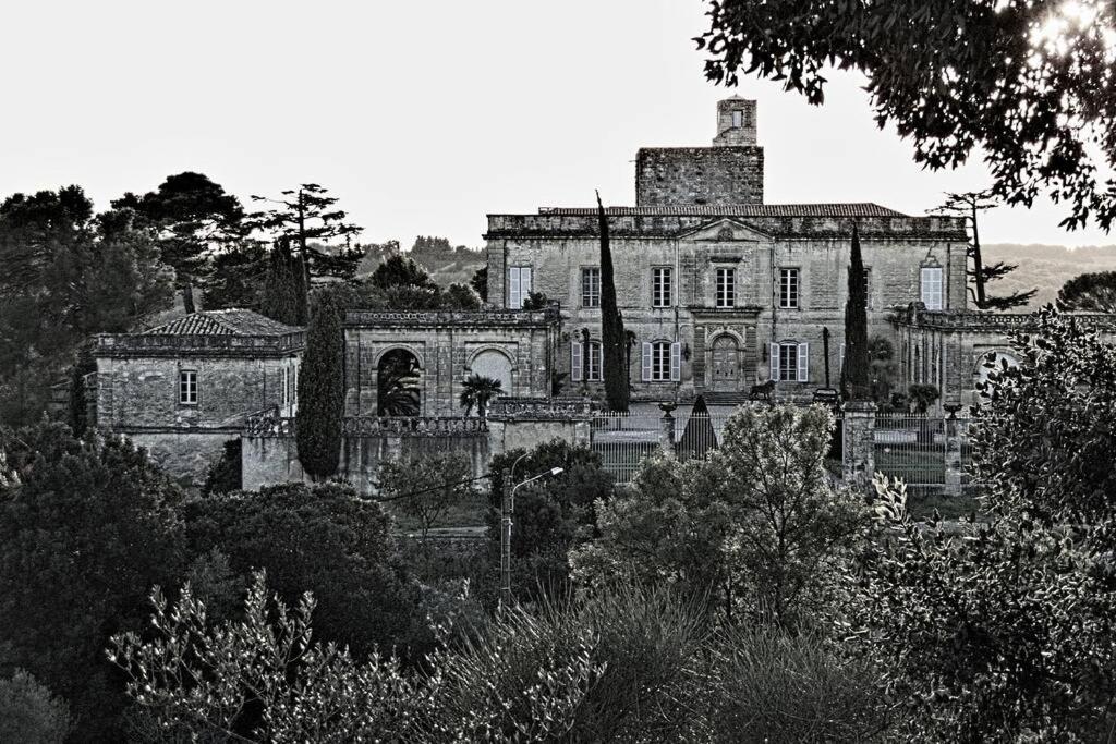 Studio Entre Cevennes Et Camargue Montfrin Exterior photo